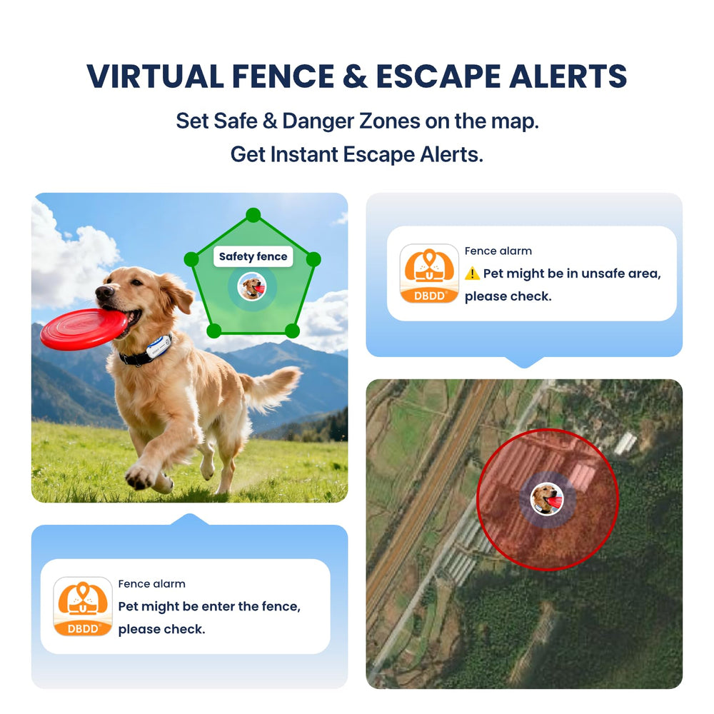 DBDD activity monitoring displaying daily exercise and distance for dogs.