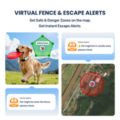 DBDD activity monitoring displaying daily exercise and distance for dogs.