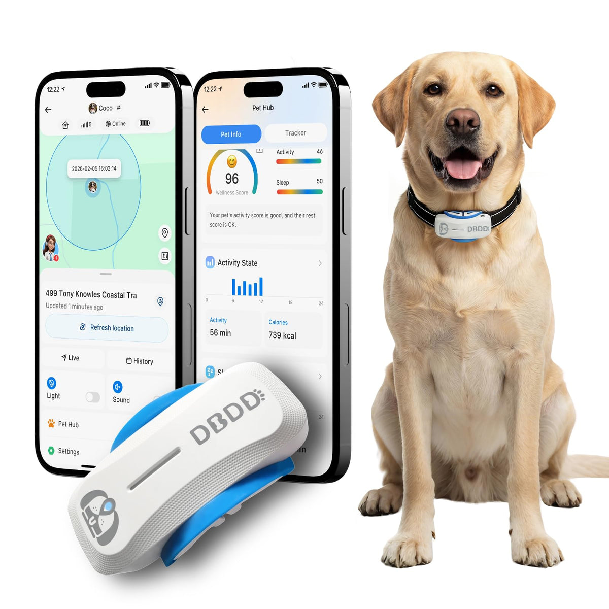 DBDD AI GPS Tracker on a dog's collar showing real-time location and safety.