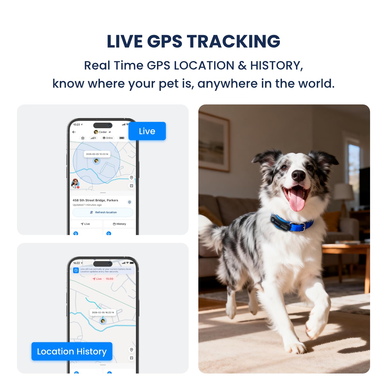 DBDD AI GPS Tracker monitors activity and distance for daily exercise goals.