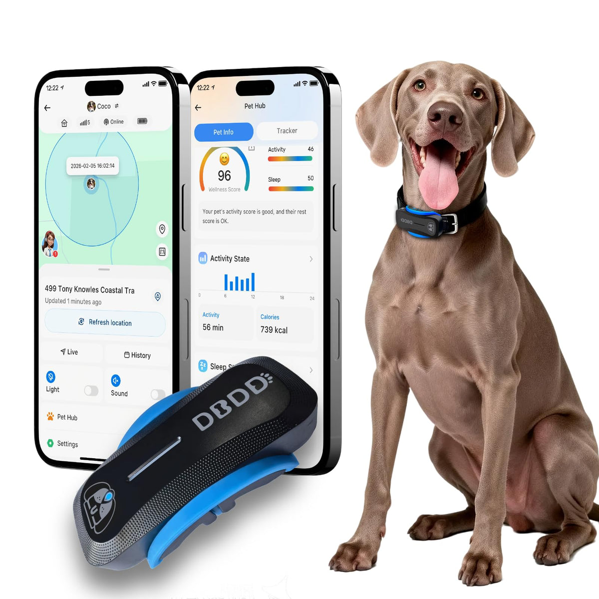 DBDD AI GPS Tracker for Dogs real-time location helps you locate your pup quickly.