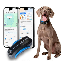 DBDD AI GPS Tracker for Dogs real-time location helps you locate your pup quickly.