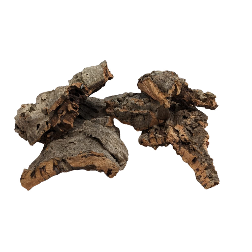DBDPet cork bark habitat setup enhances terrarium aesthetics
