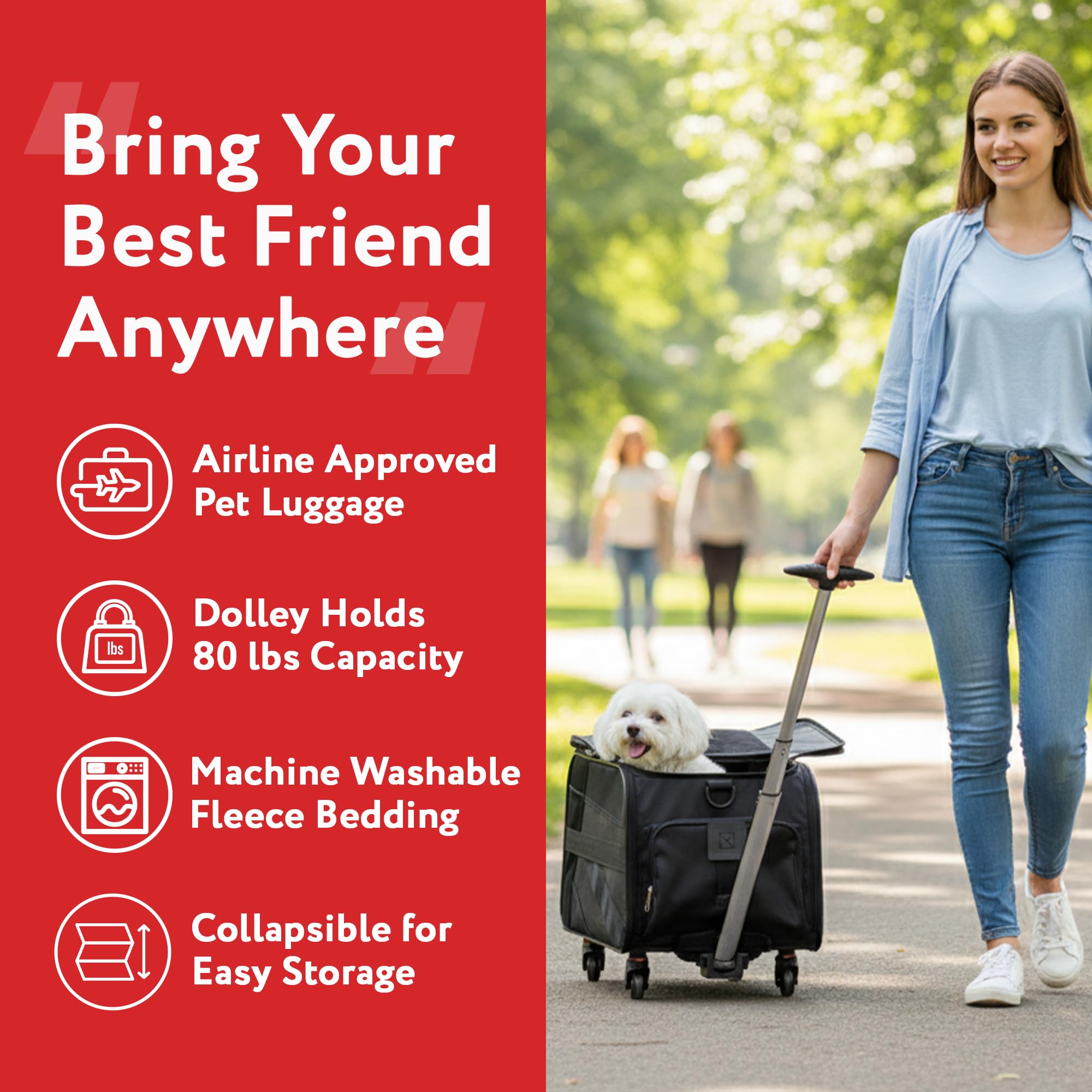 dbest petsmart cart collar clip feature adds convenient safety for car rides