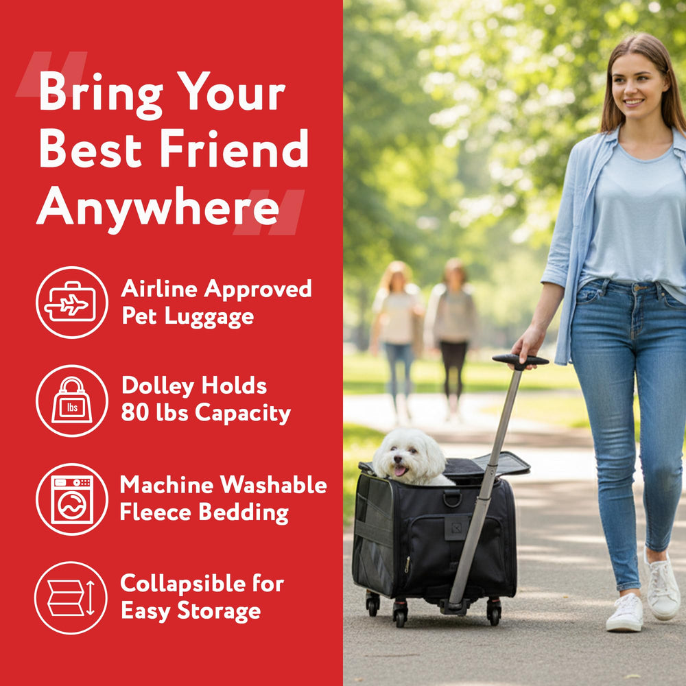 dbest petsmart cart collar clip feature adds convenient safety for car rides