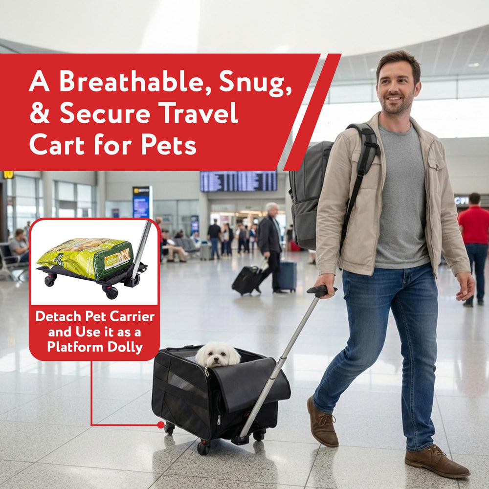 dbest products waterproof breathable material with mesh panels ensuring air flow