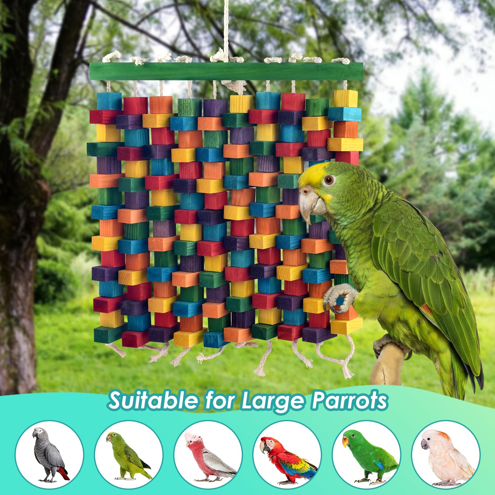 DBNESS large bird toy knots and blocks for preening and entertainment.