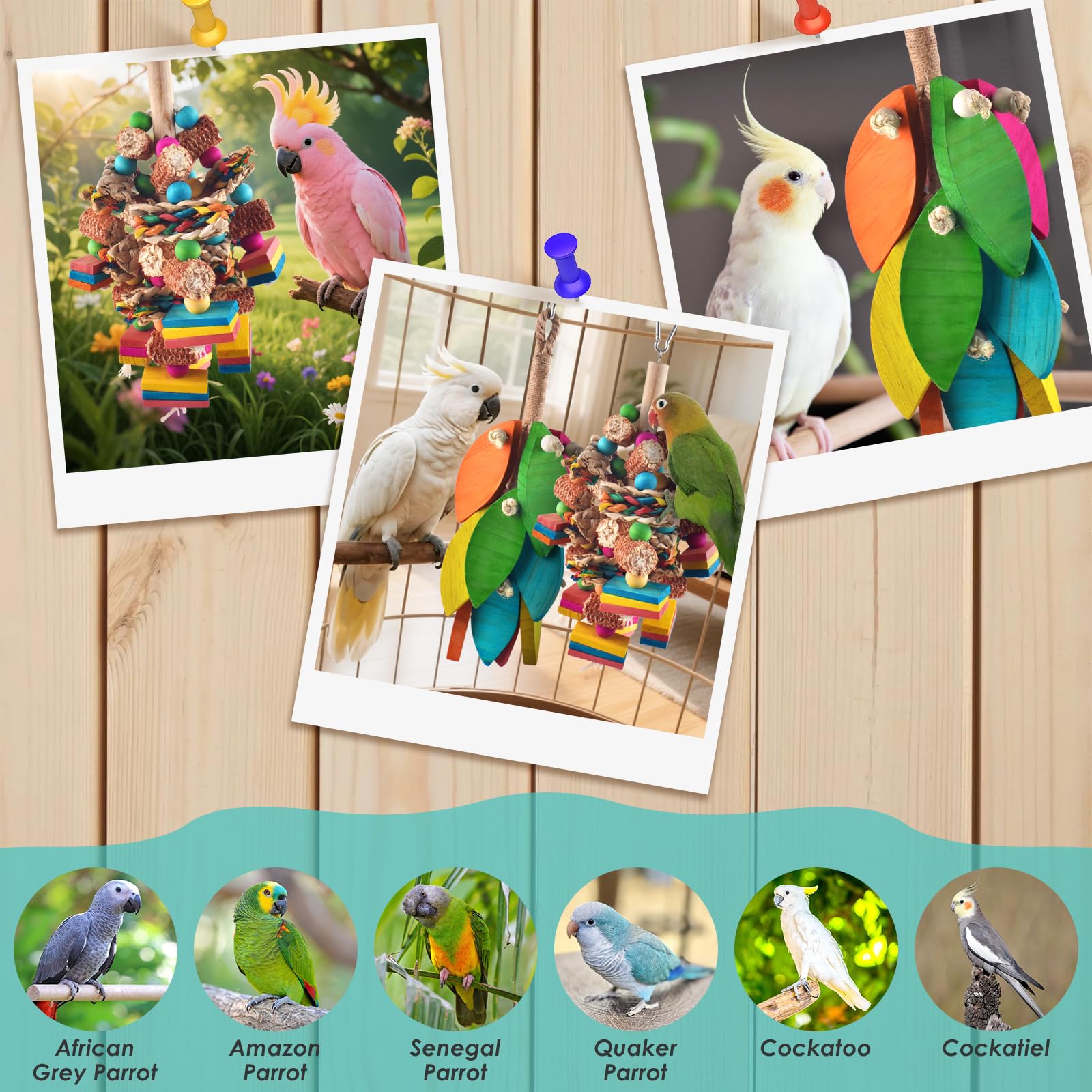 DBNESS multicolor chew toy attracts macaws, cockatoos, and amazons