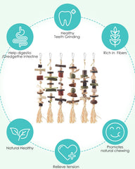 DBNESS natural apple wood bunny treats for safe chewing.