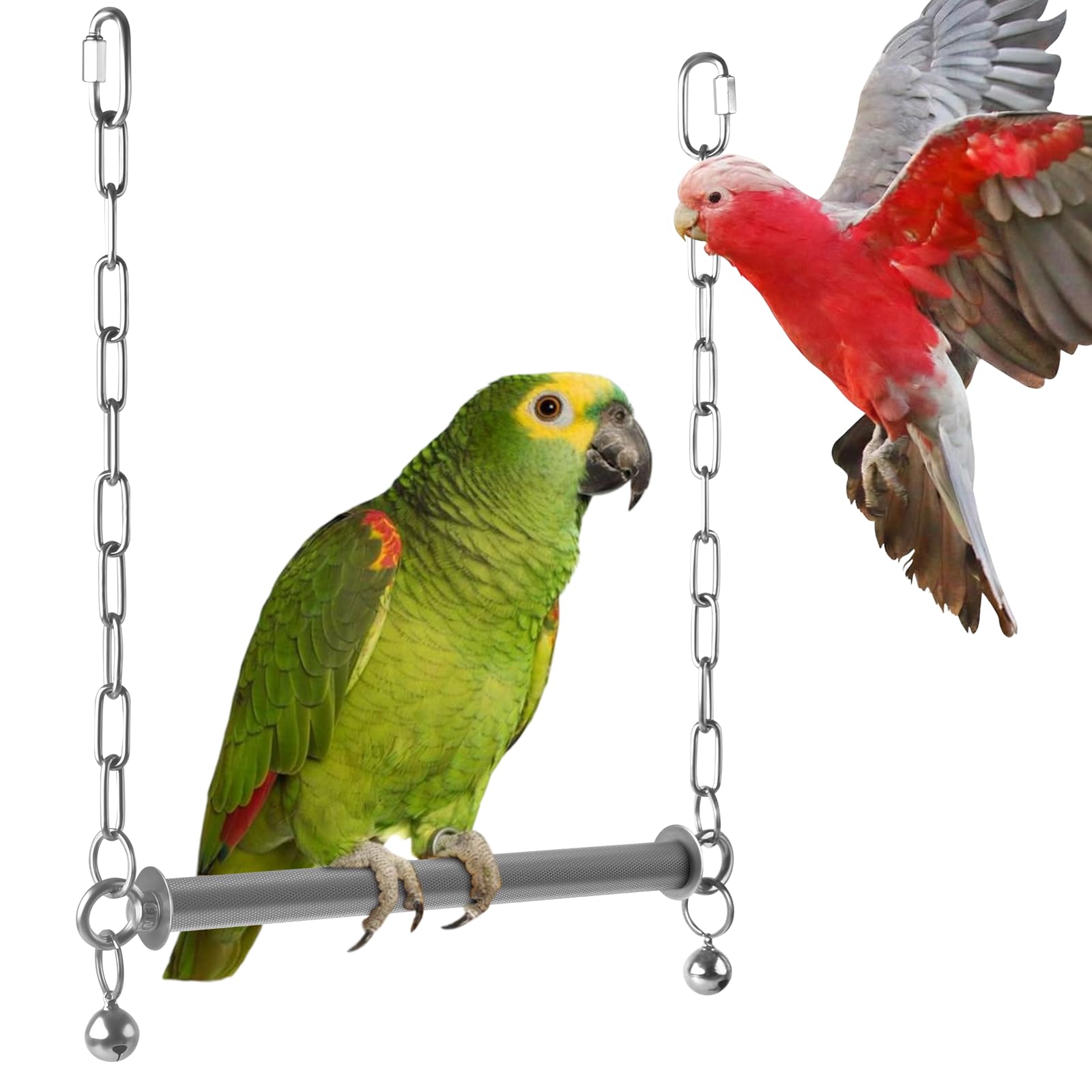 DBNESS stainless steel large bird swing provides a durable perch for large parrots to play.