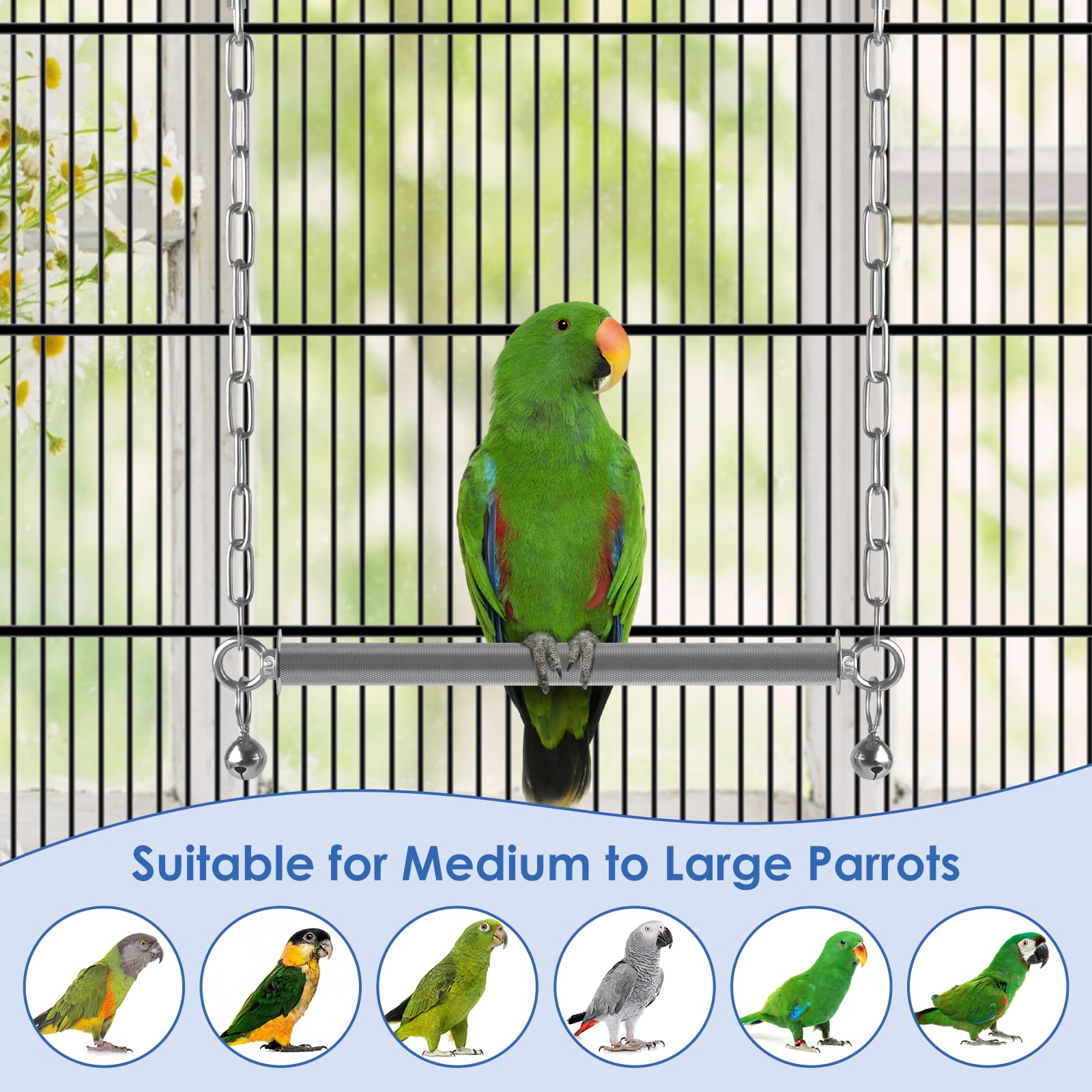DBNESS swing designed for large parrots like macaws and cockatoos for exercise.