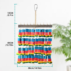 DBNESS XL parrot interacts with blocks for enrichment and exploration.