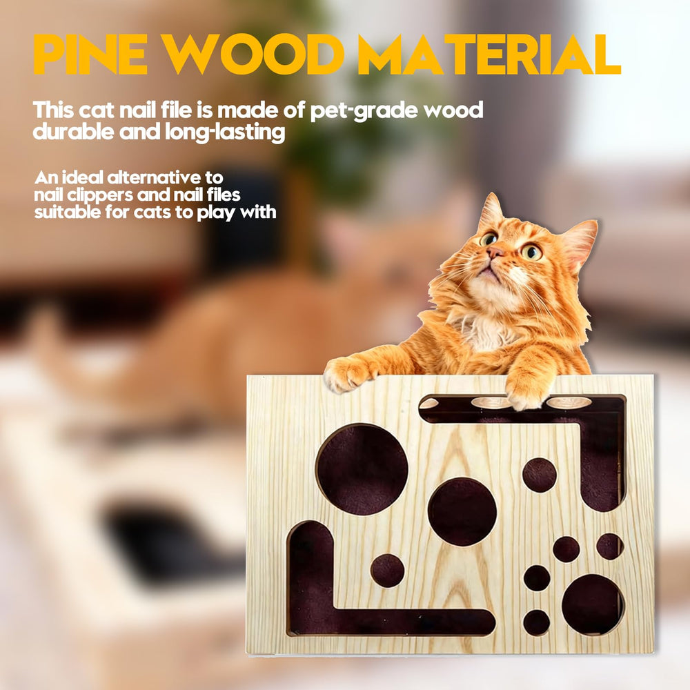 DBZ Cat Nail File Box in use demonstrates easy nail care through gentle filing.