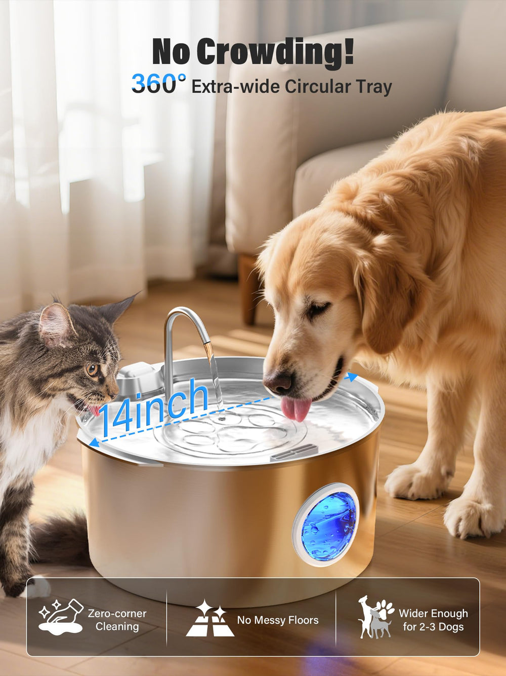 DCIOGAT stainless steel construction offers durability and hygiene for daily pet hydration.
