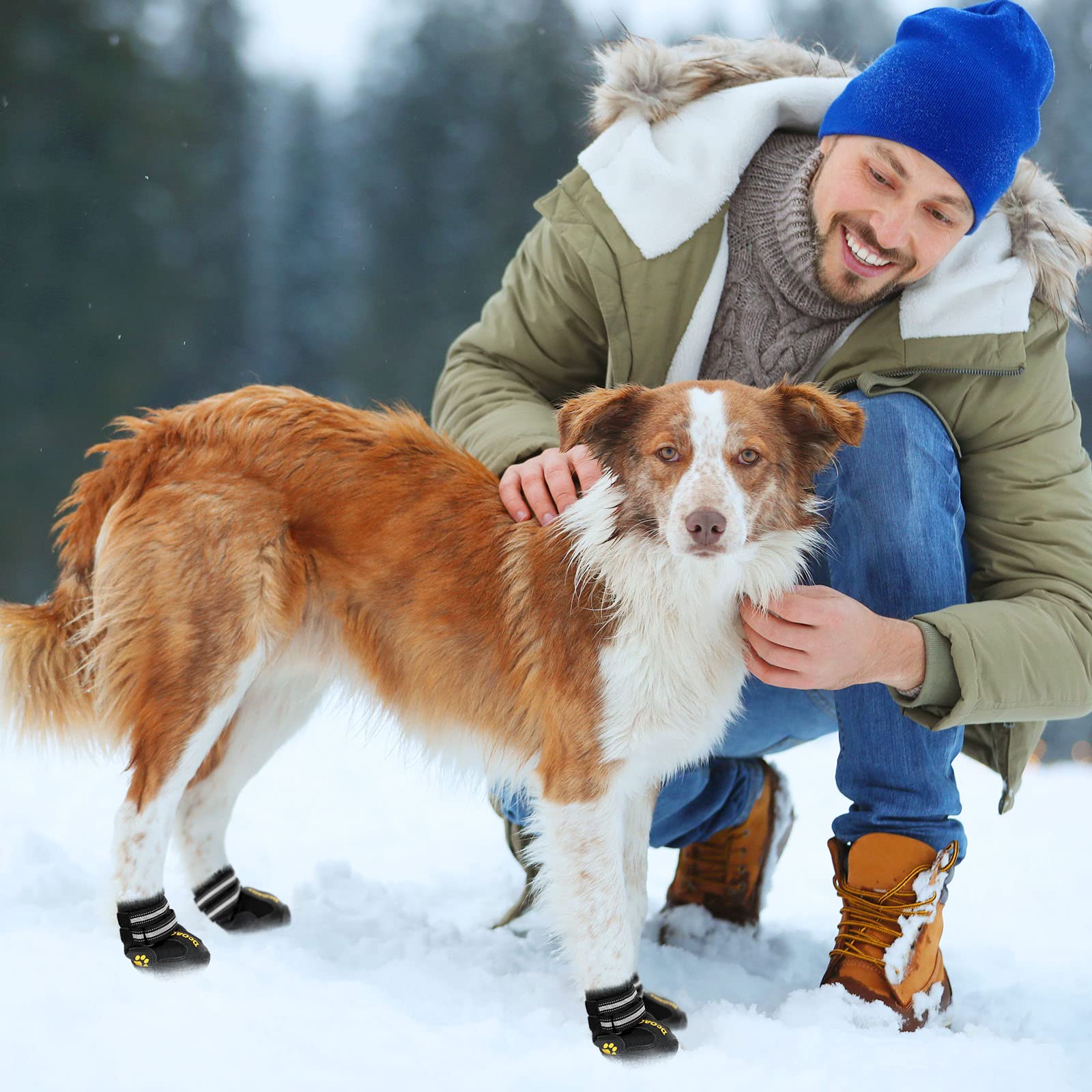 DcOaGt paw protectors shield paws from heat, snow, and sharp objects.