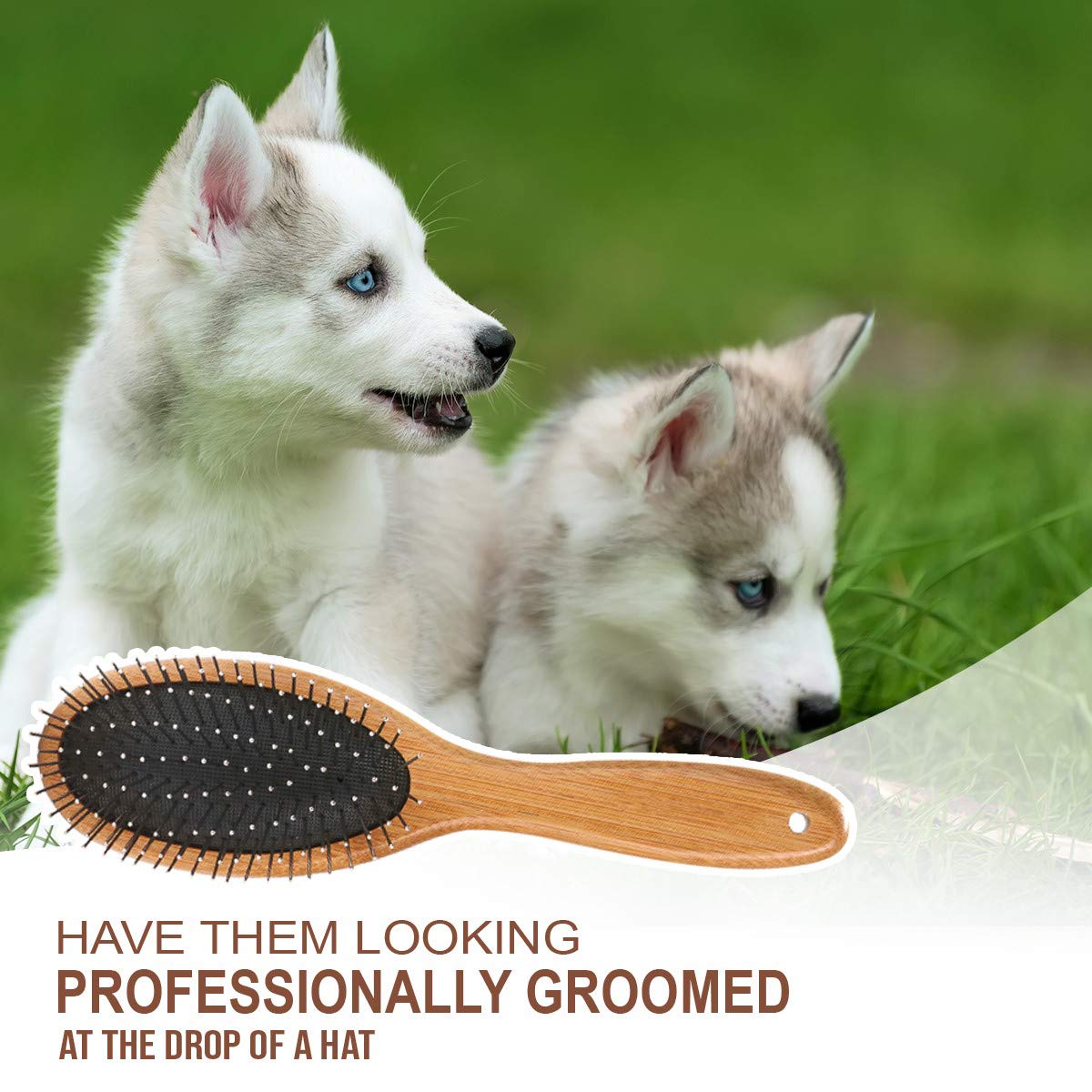 KylePet massage-ready brush comforts pets while grooming.