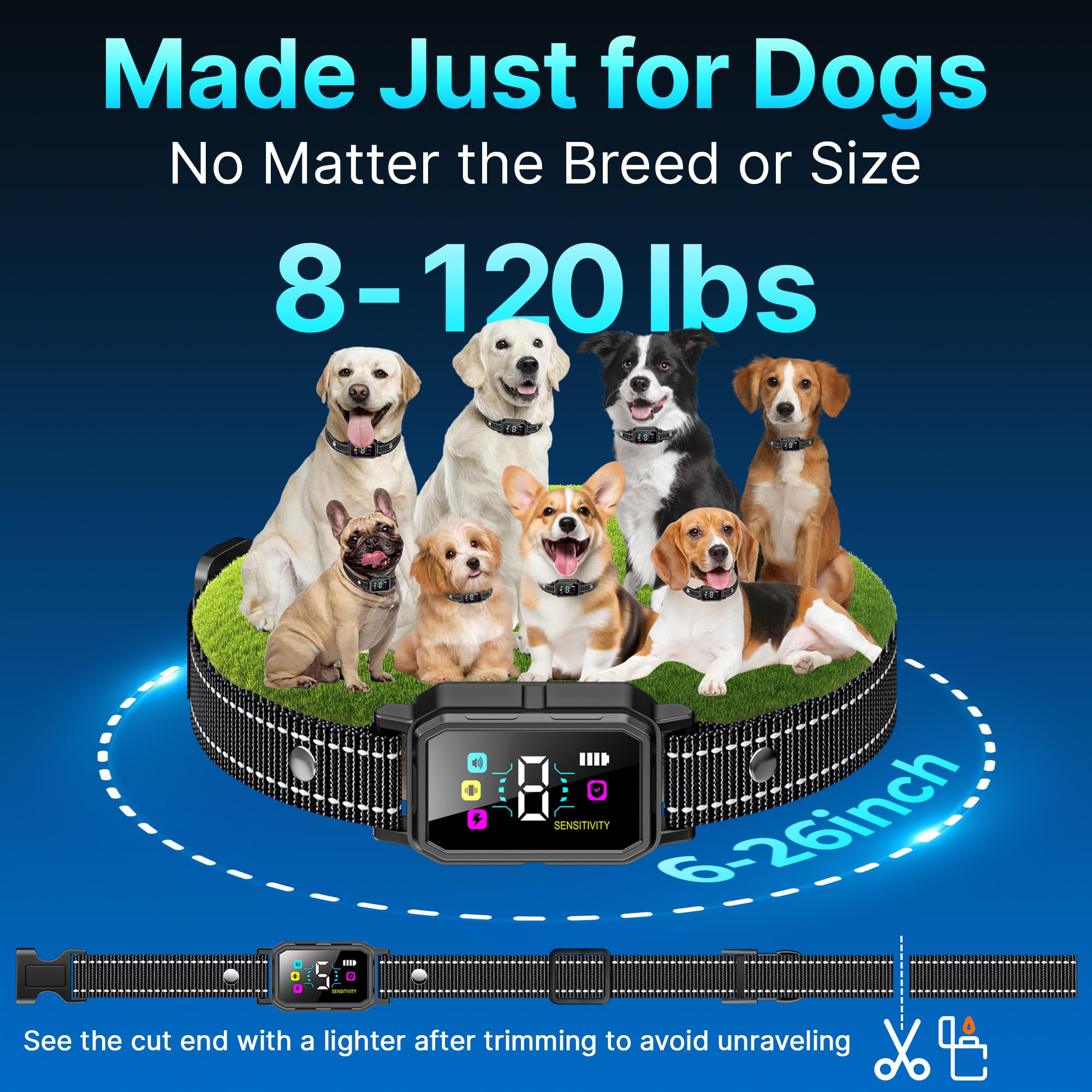 PL30 collar with different sensitivity level settings for tailored training.