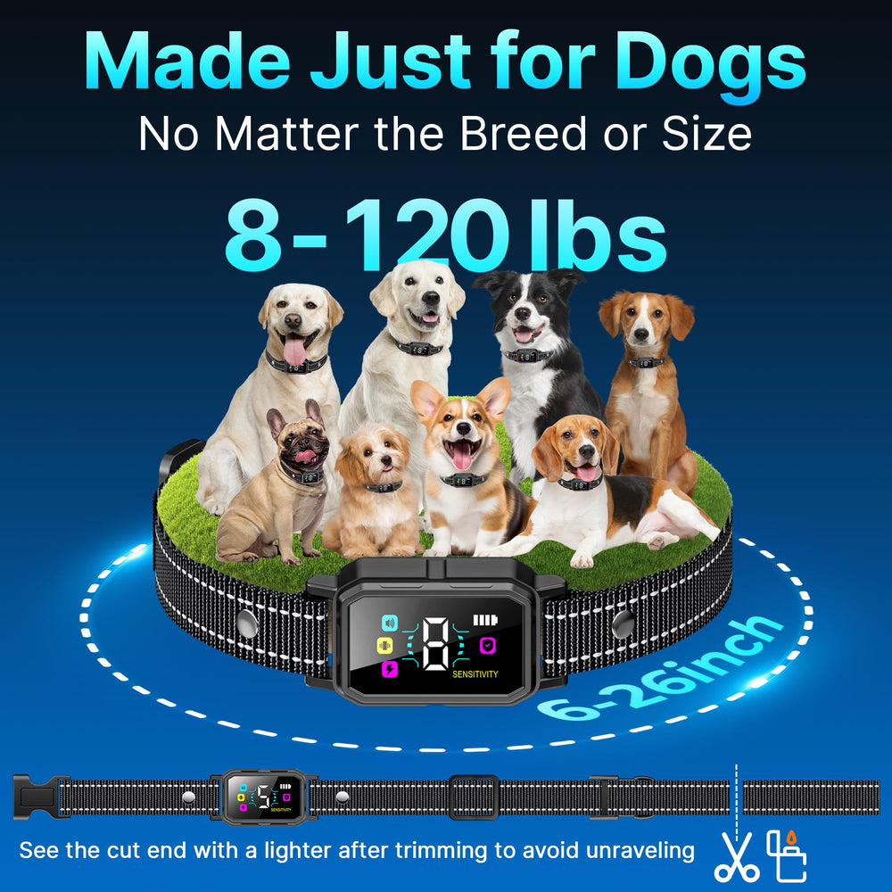 PL30 collar with different sensitivity level settings for tailored training.