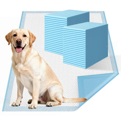 DD Curtain dog pee pad extra-large 31x47 with six-layer absorbency keeps surfaces dry.