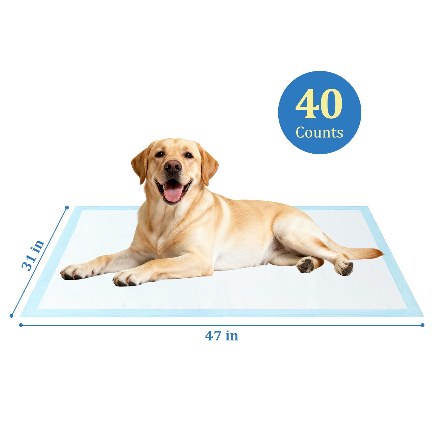 DD Curtain ideal for travel crates and car rides with mess containment.