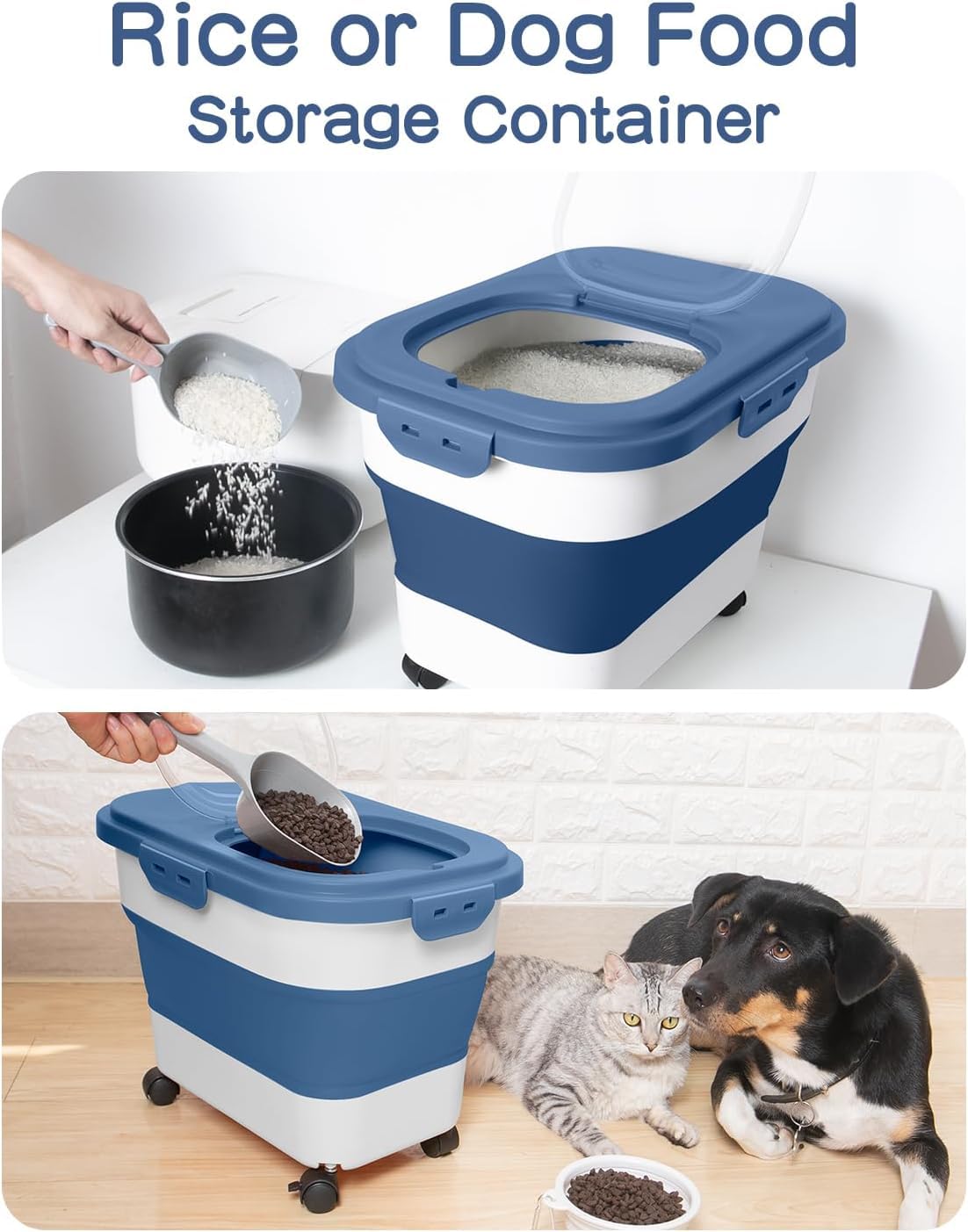 DDMOMMY blue container with four locking lids keeps dry food secure.