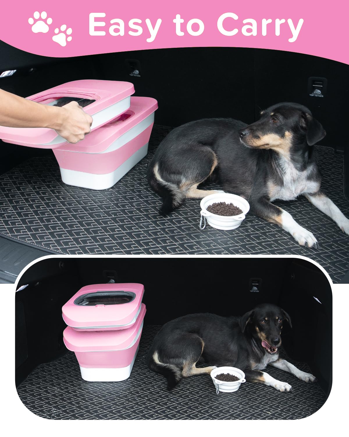 ddmommy silicone dog bowl pairs with storage set for mealtime
