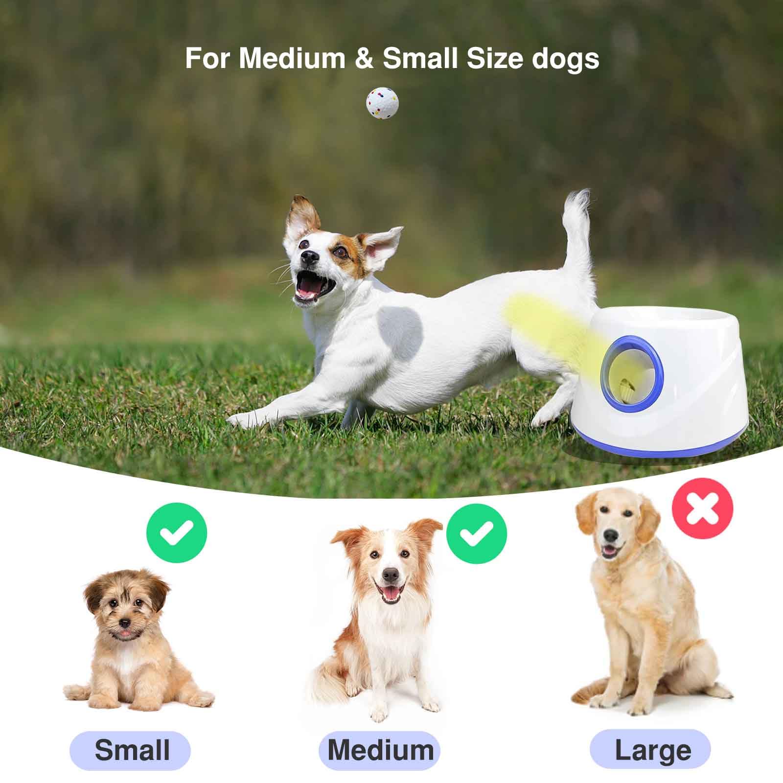 DDQ compact dog ball launcher in living room demonstrates easy charging and storage.