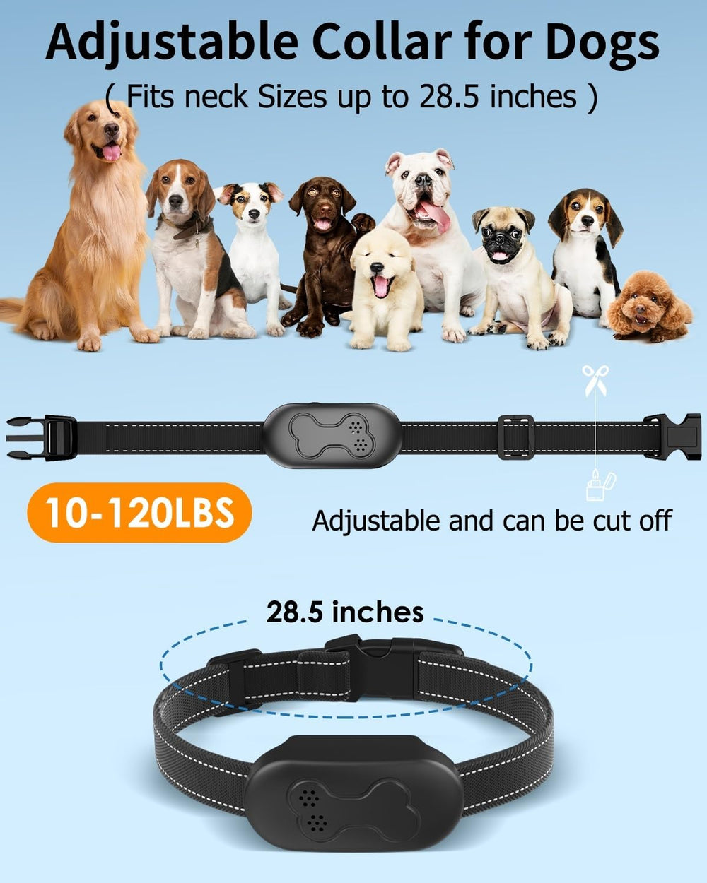 DDZ dog shock collar remote range 2000ft shown during outdoor training sessions.