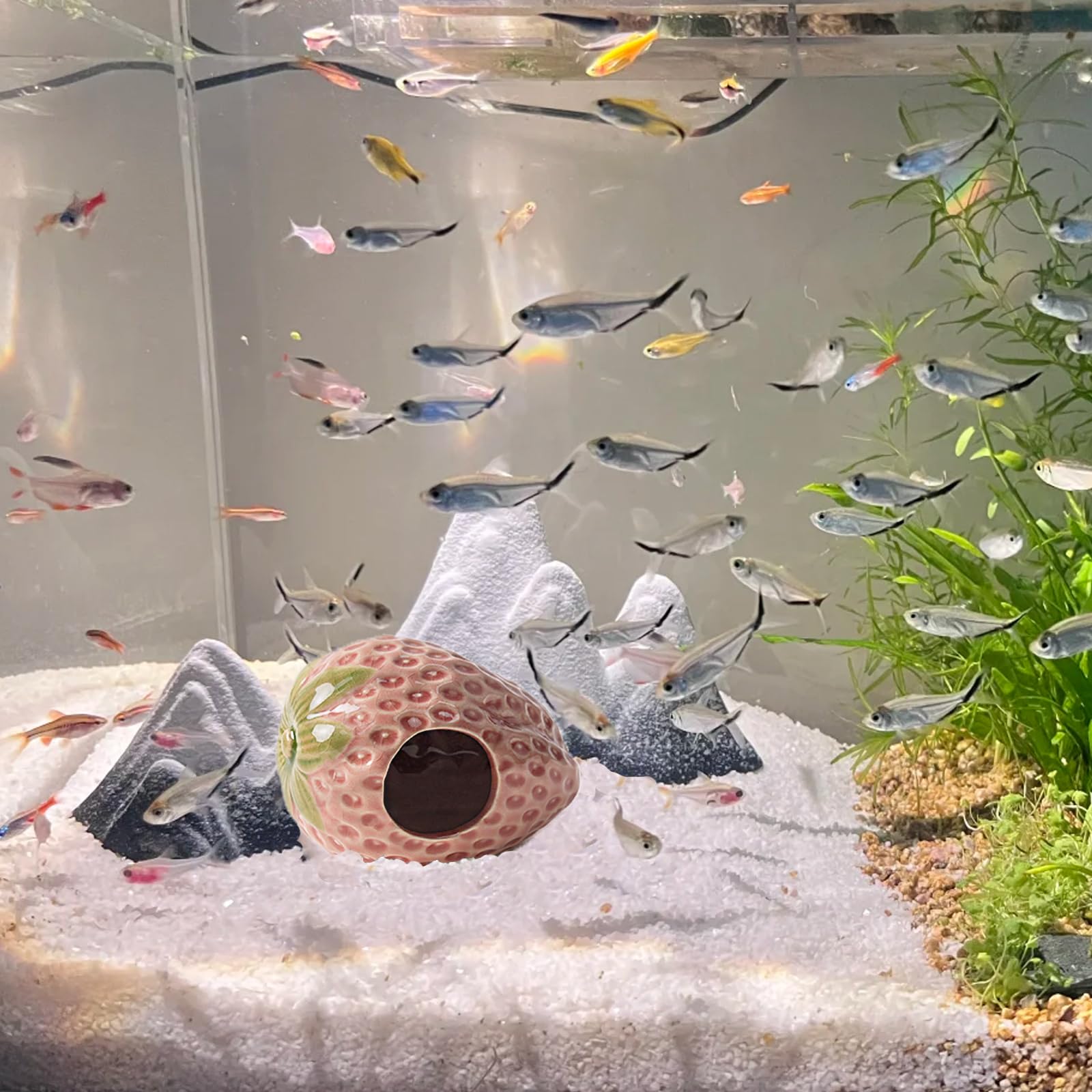Deapeey easy-clean cave, smooth surface simplifies maintenance and care