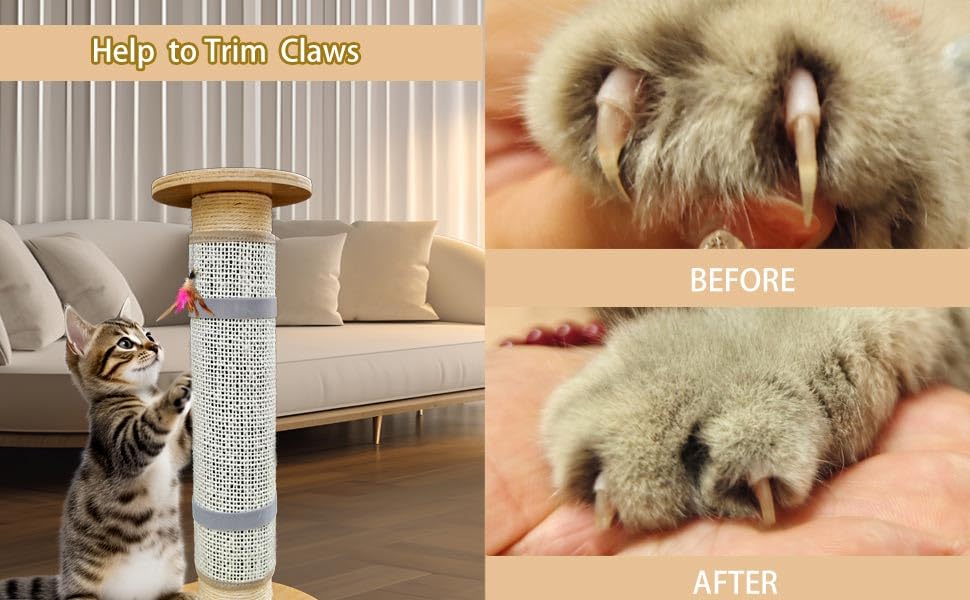Deapher sisal netted top layer offers a satisfying scratch without paw abrasion.