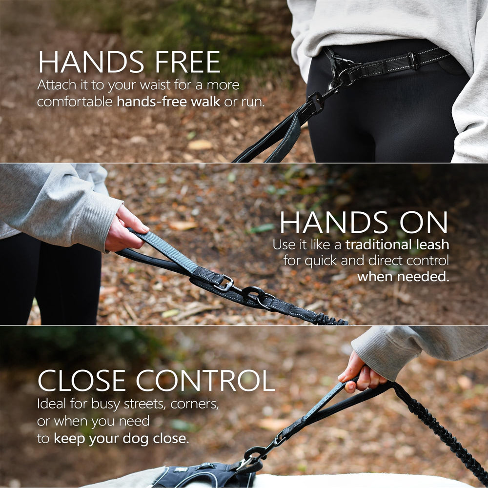 DearWells alloy carabiners and metal buckle deliver reliable, plastic-free security