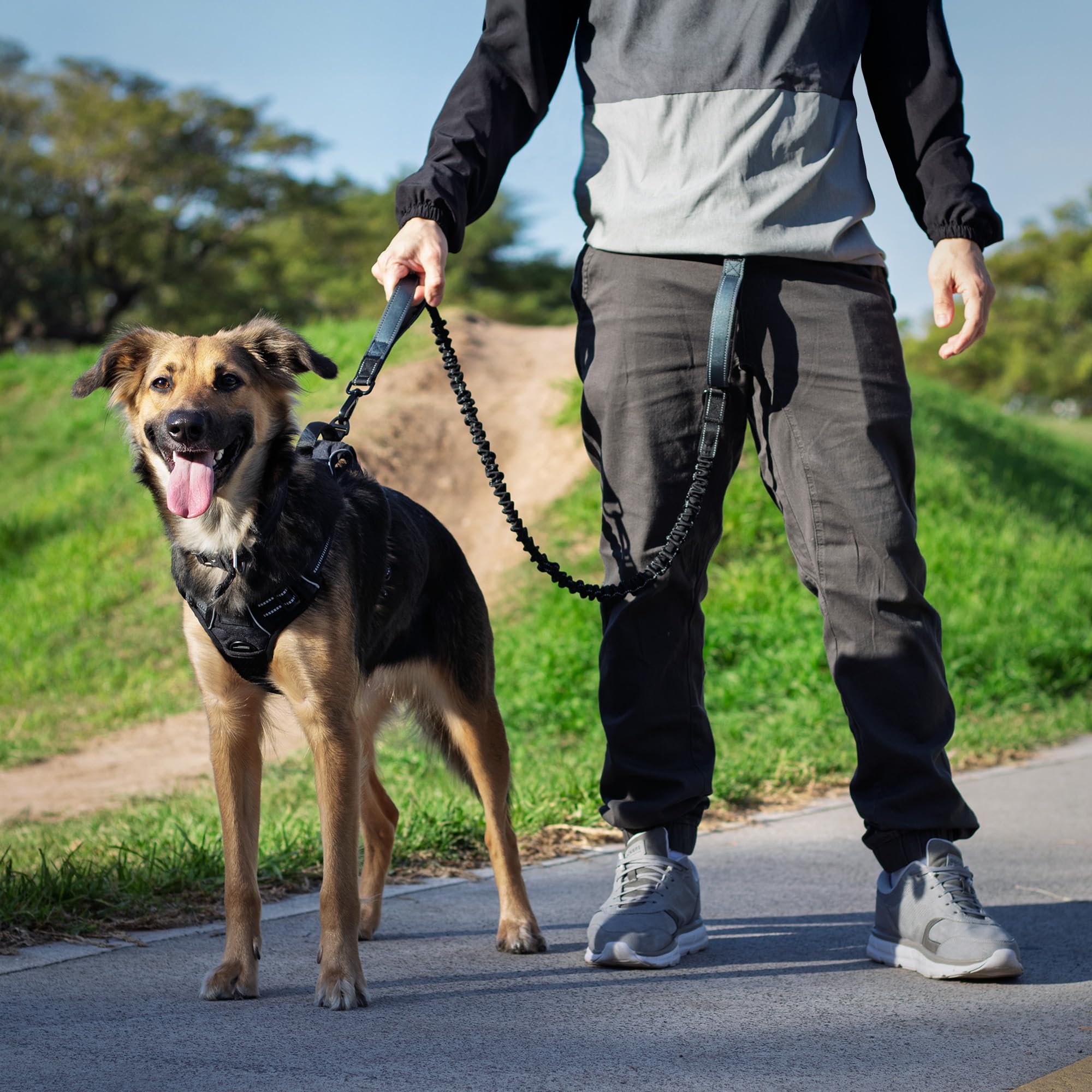 DearWells suitable for medium to large dogs 25-120lbs