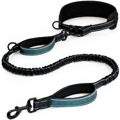 DearWells waist leash quick-release buckle enables hands-free control on walks