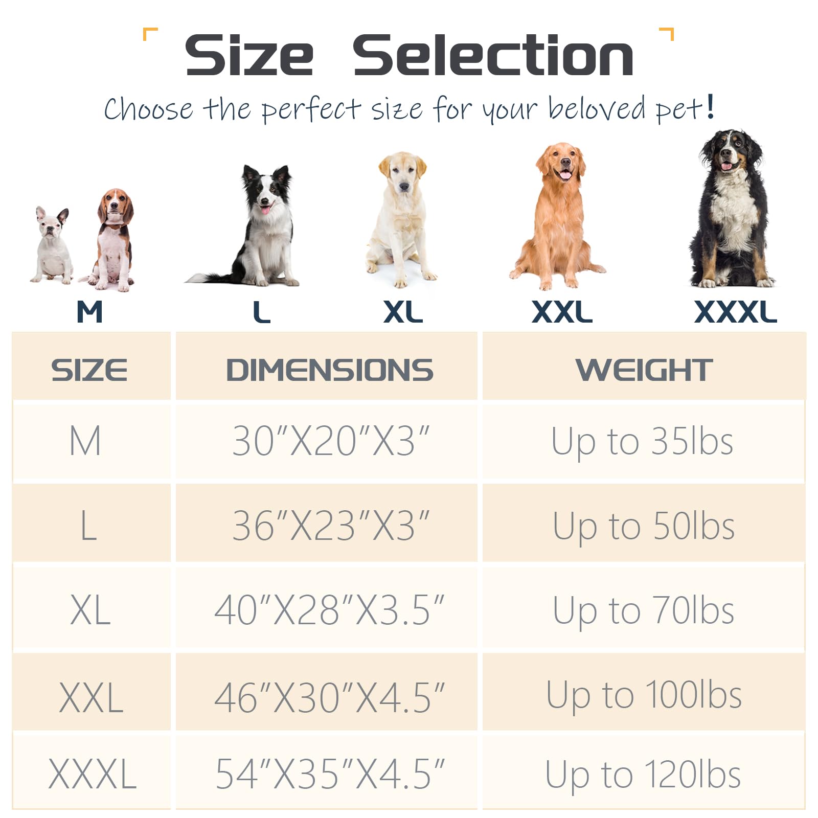 DEBANG HOME dog bed filled with plush polyester and foam