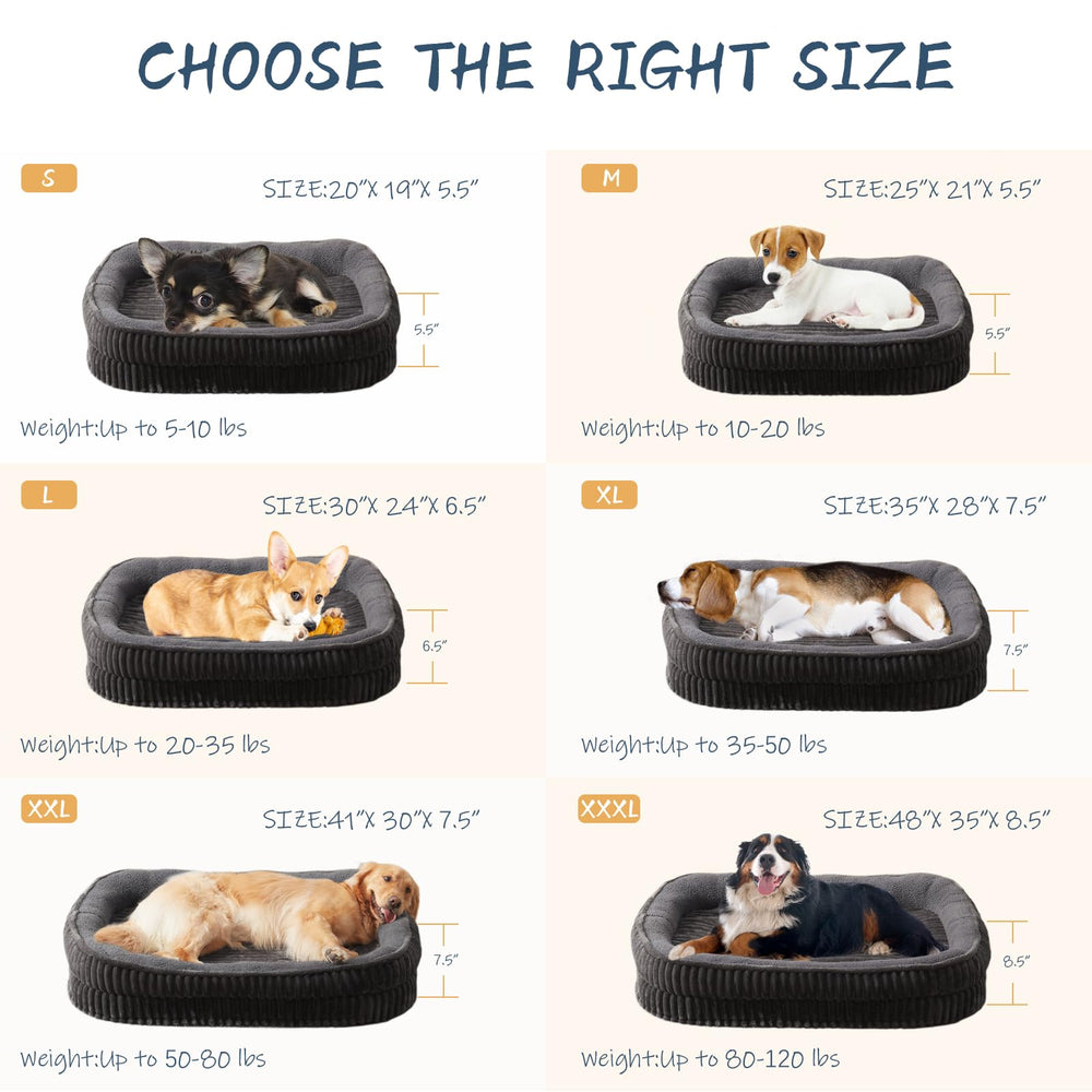 DEBANG HOME available in multiple sizes for medium to large dogs.