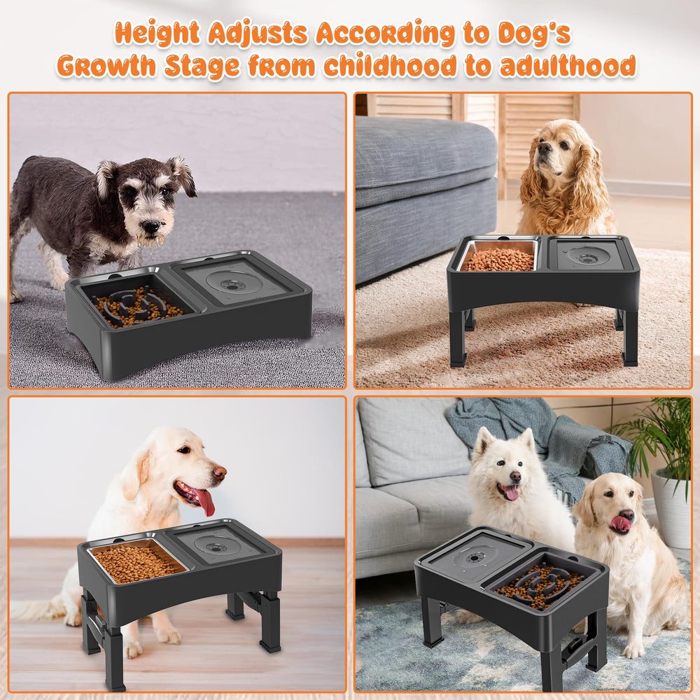 Decflow ergonomic setup makes mealtime comfortable for dogs of all sizes.