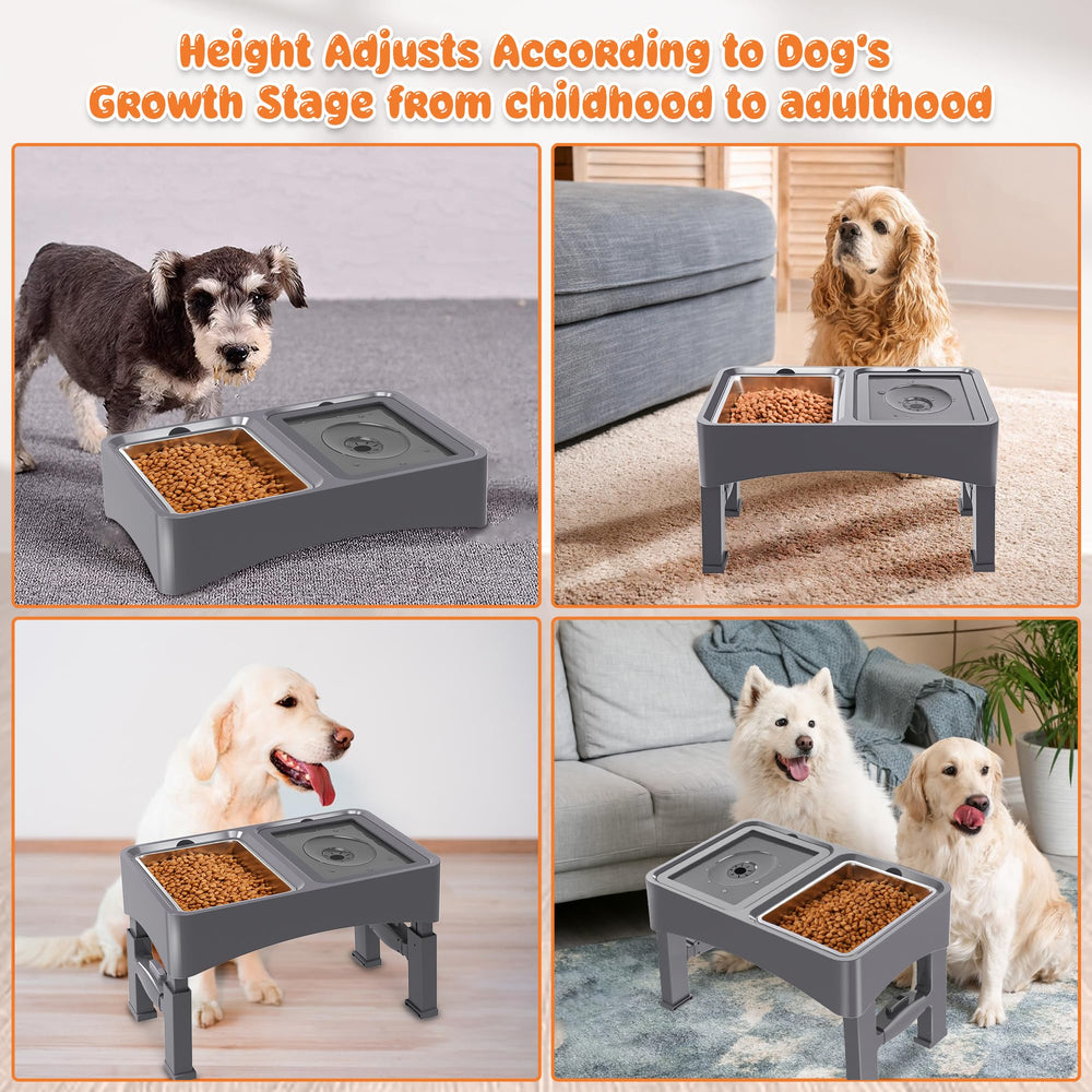 Decflow height-adjustable dog bowl stand shows four adjustable heights