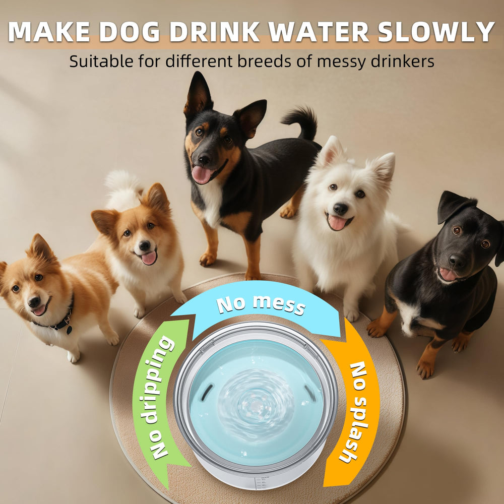 Decflow large-capacity bowl supports multi-pet households with fewer refills.