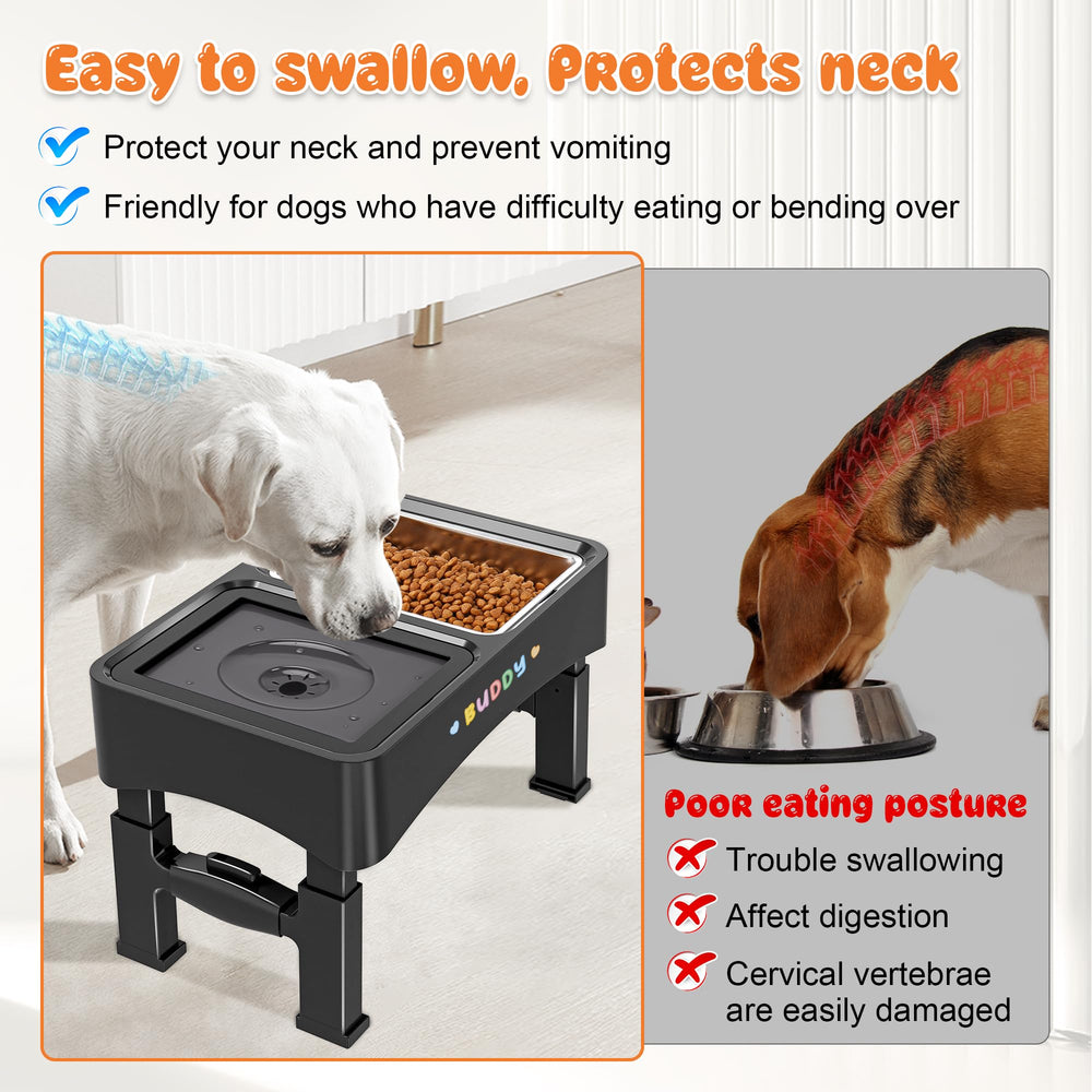 Decflow slow-feed bowl promotes steady eating without rushing.