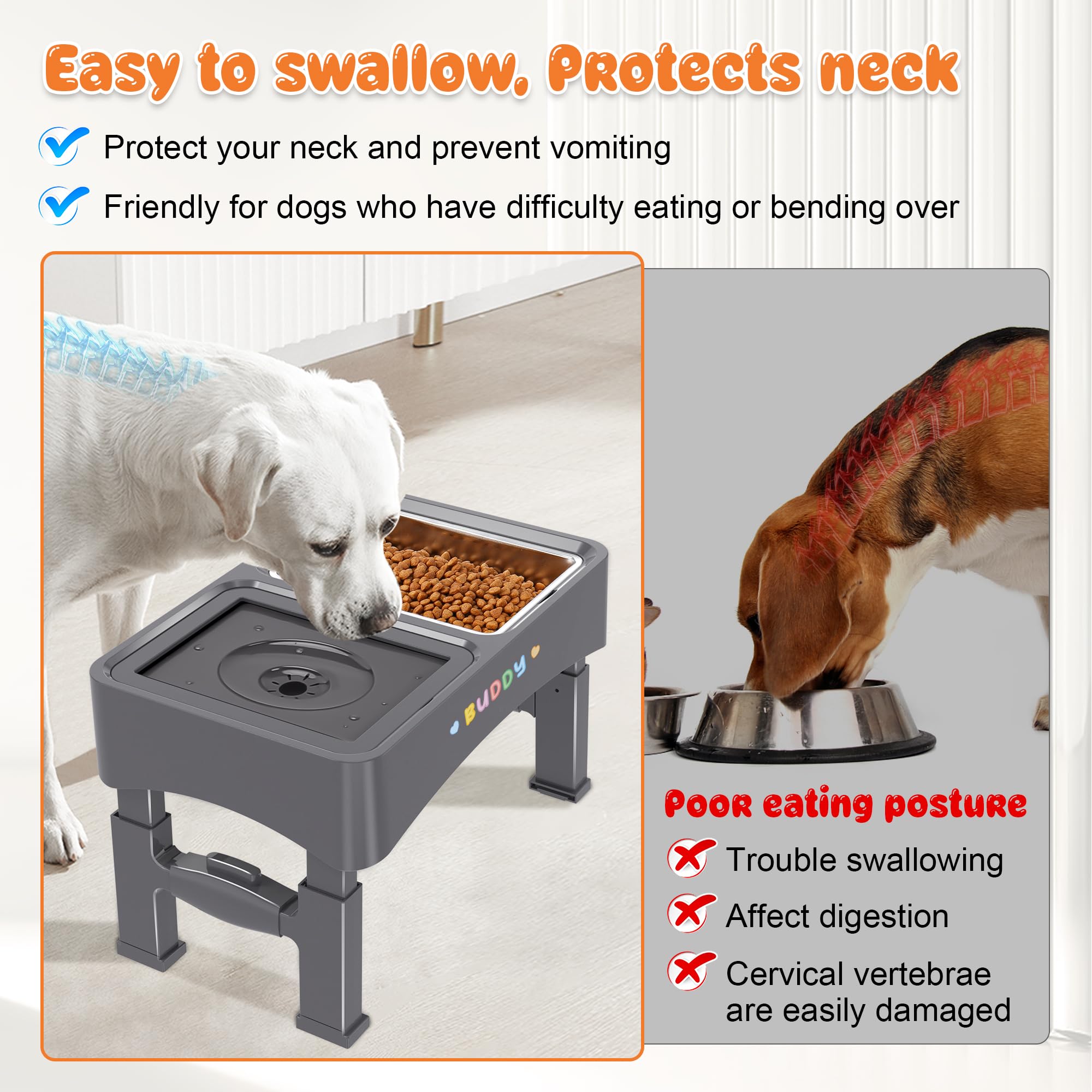 Decflow stainless steel feeding bowl highlights durability and easy cleaning