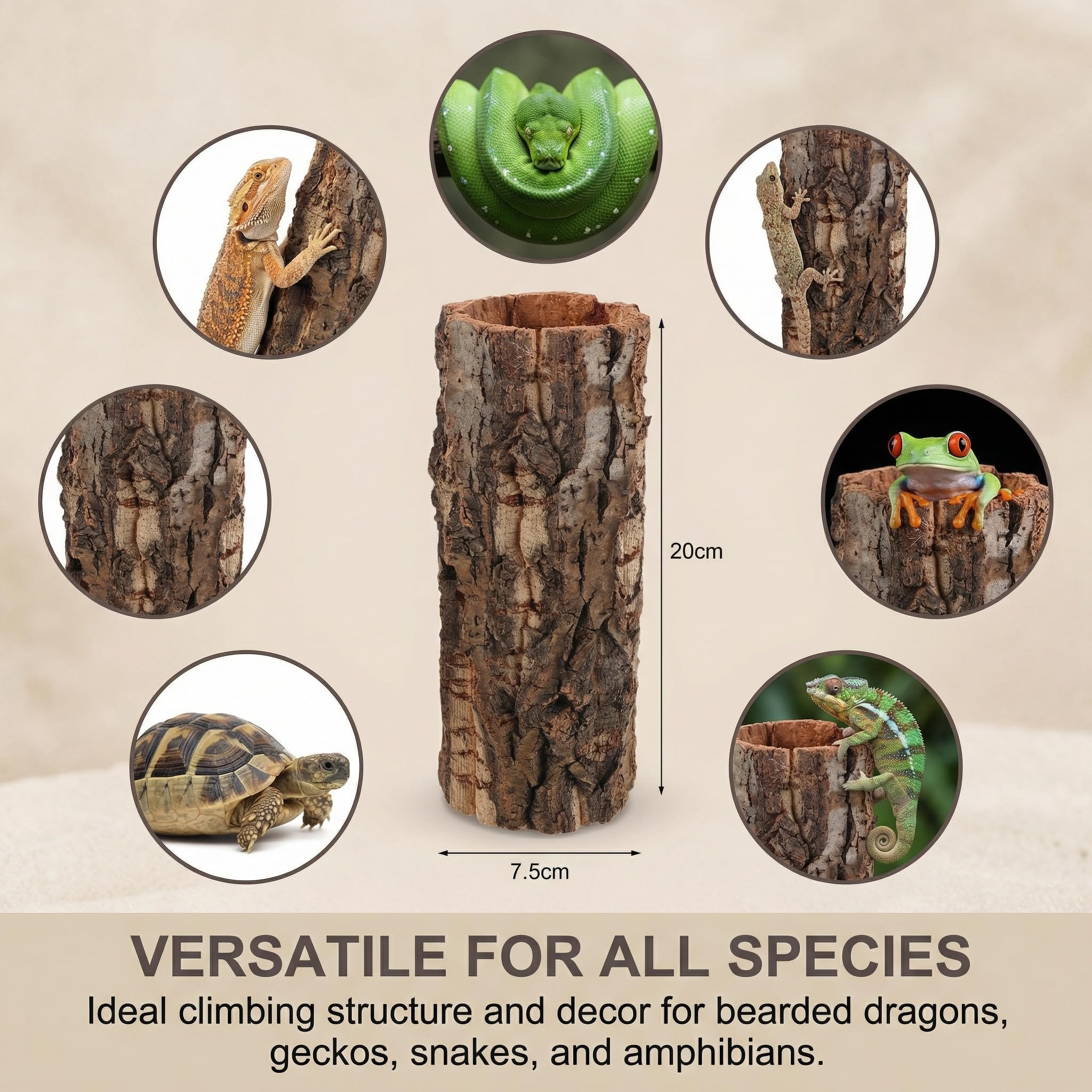 DECHOUS climbing hide encourages exploration and perching in enclosures.