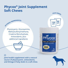 Dechra Phycox chews in a dog bowl for daily use.