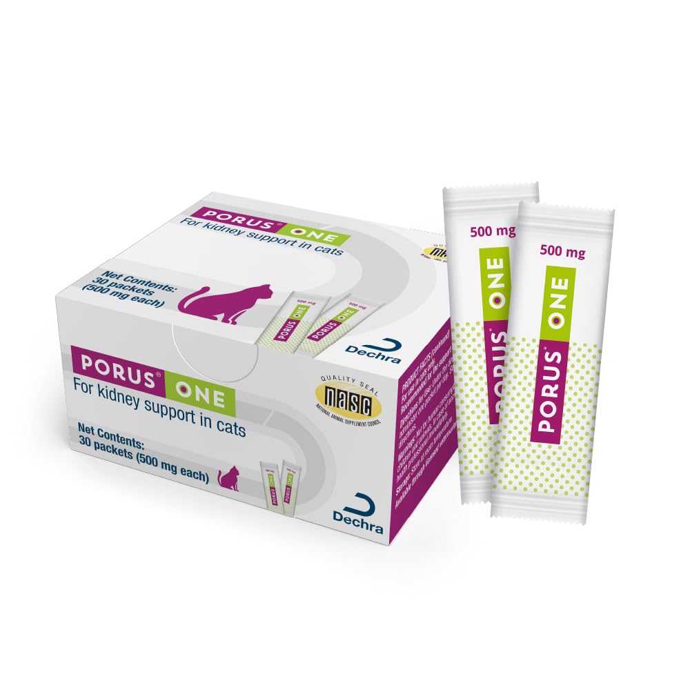 Dechra Porus One 500mg bottle close-up for feline kidney health support