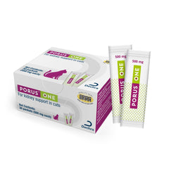 Dechra Porus One 500mg bottle close-up for feline kidney health support