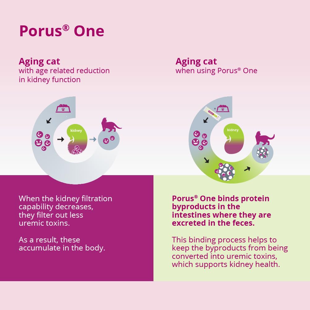Dechra Porus One bottle in a cat care context