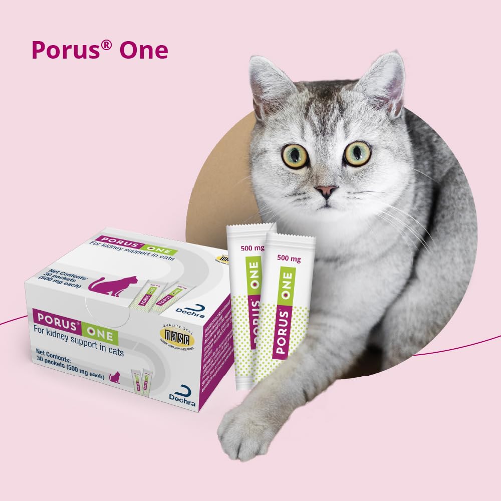 Dechra Porus One bottle on display for feline care