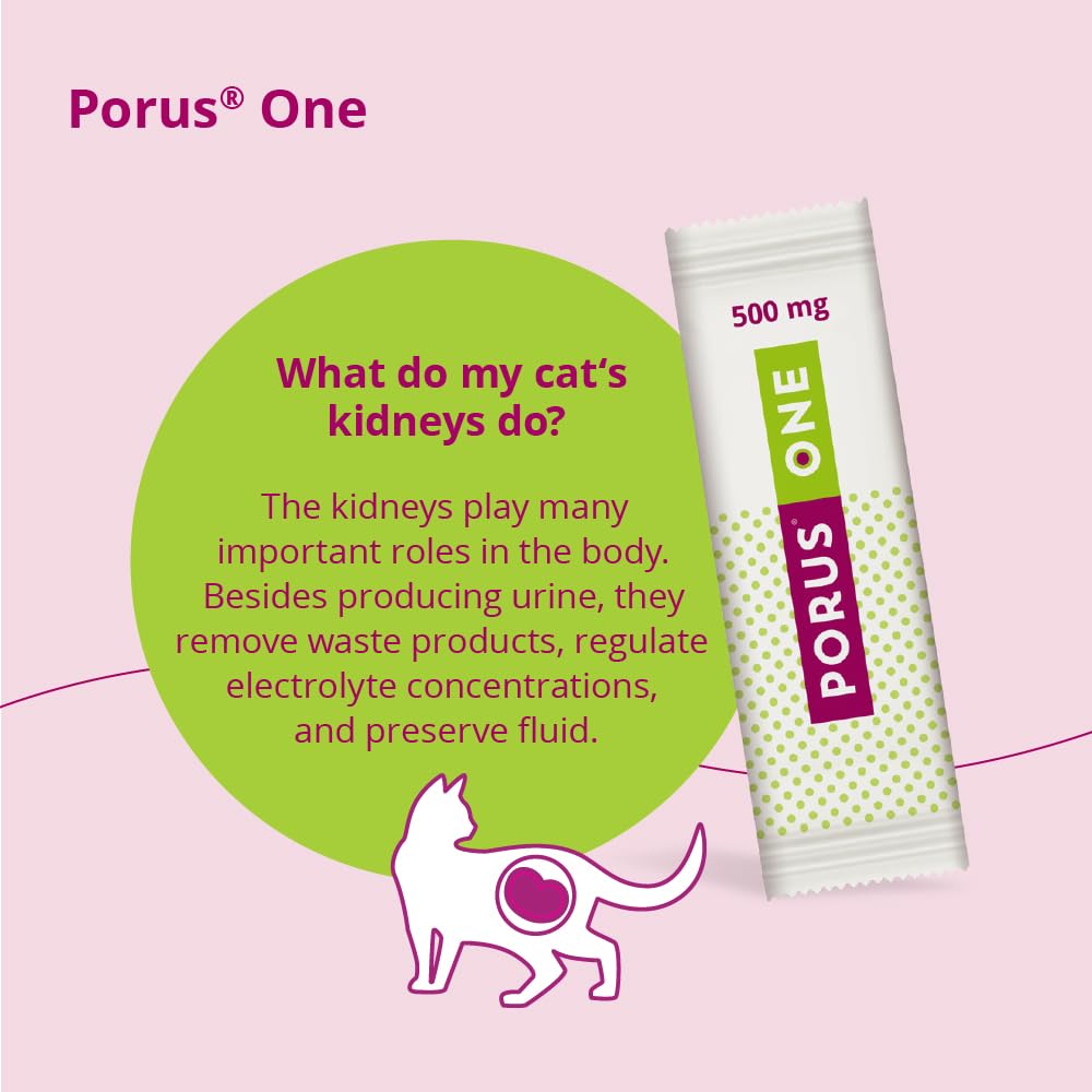 Dechra Porus One bottle on a shelf in a pet care setting