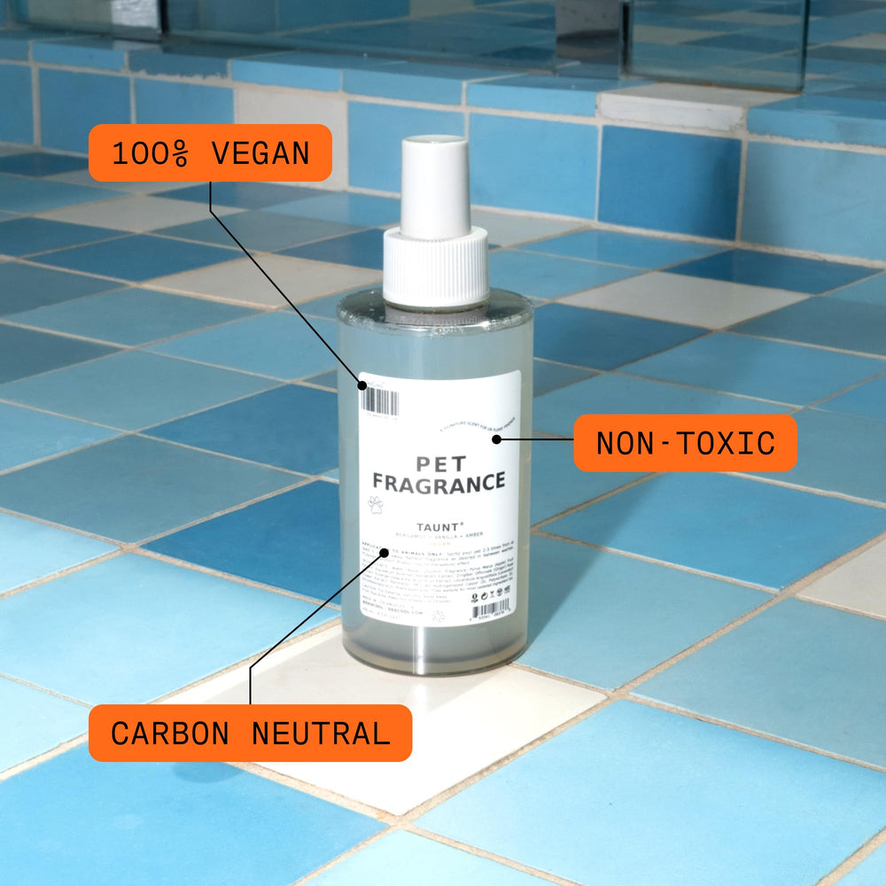 DedCool 01 Taunt spray application on a pet for instant deodorizing between baths