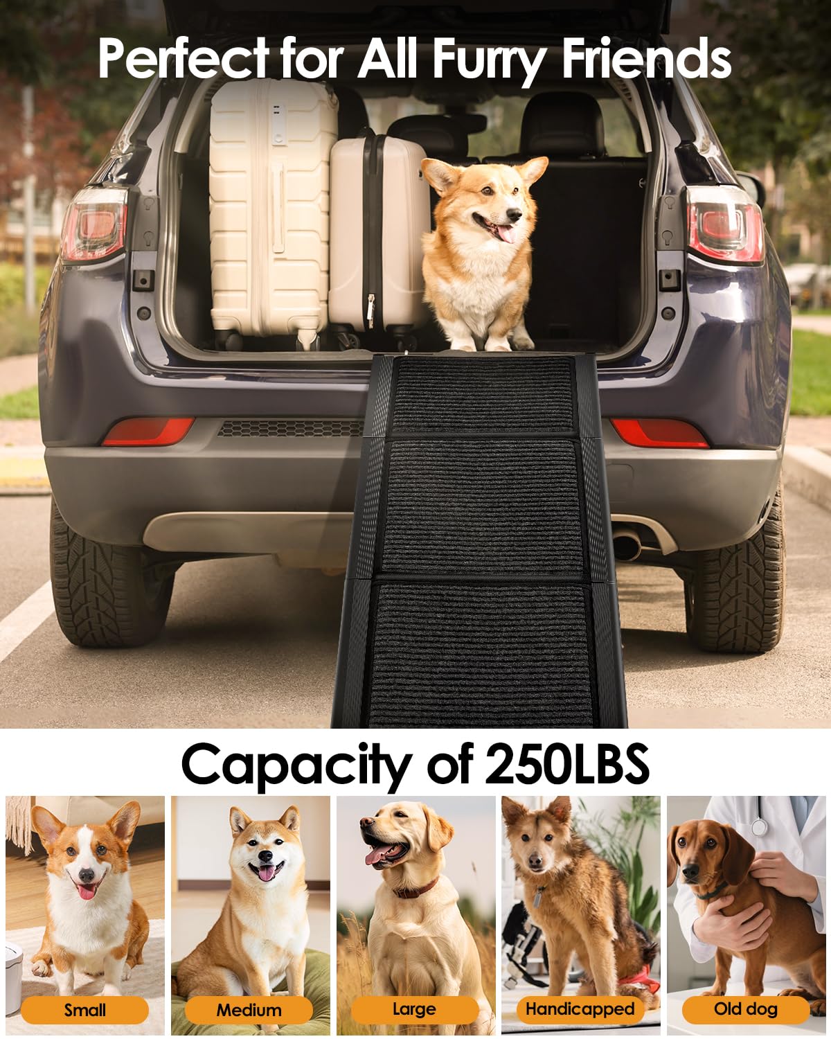 Ramp suited for large dogs with easy accessibility