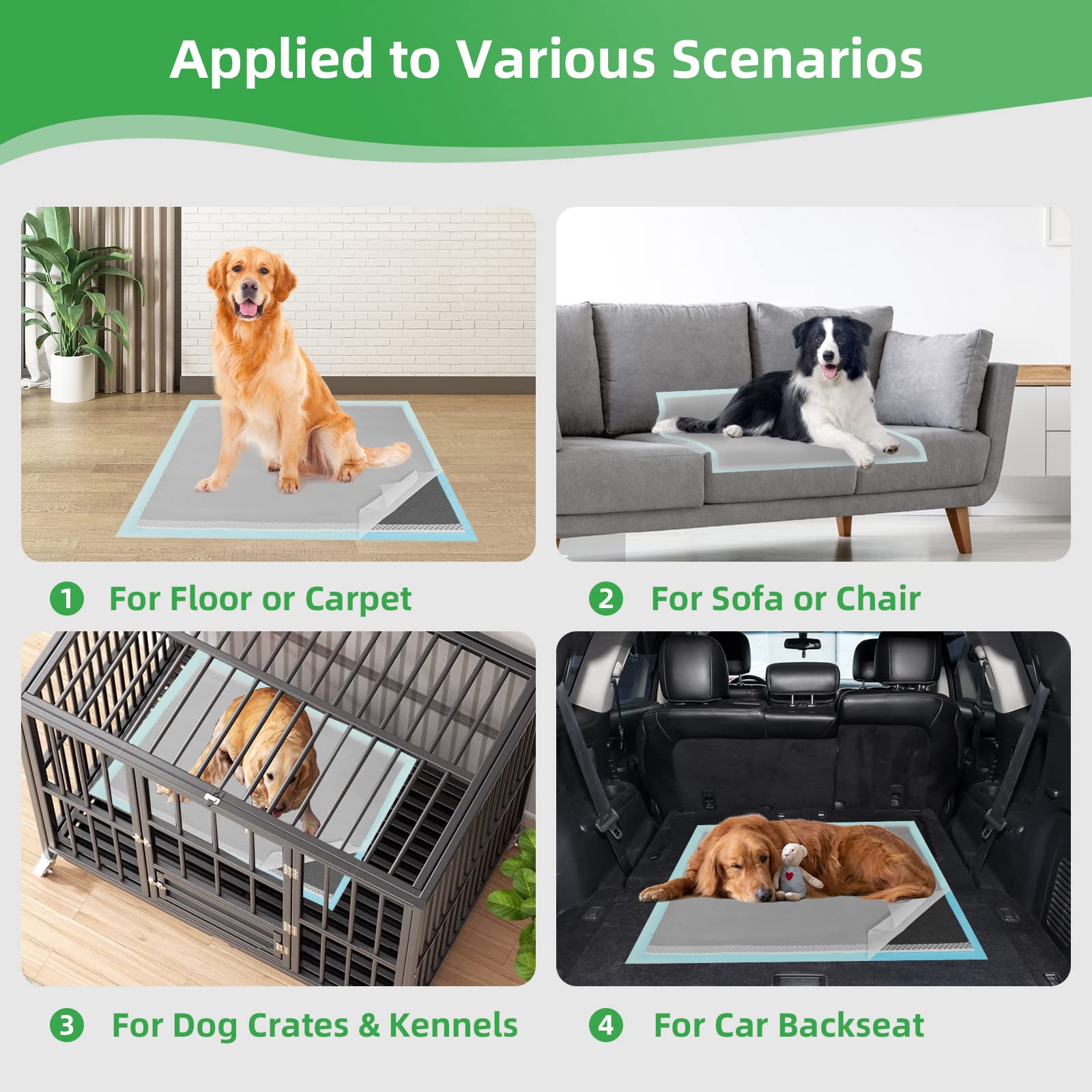 Deep Dear pads shown with pets for versatile housetraining options.